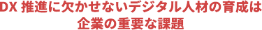 DX推進に欠かせないデジタル人材の育成は 企業の重要な課題