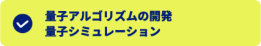 量子アルゴリズムの開発 量子シミュレーション