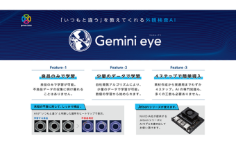 Gemini eye
